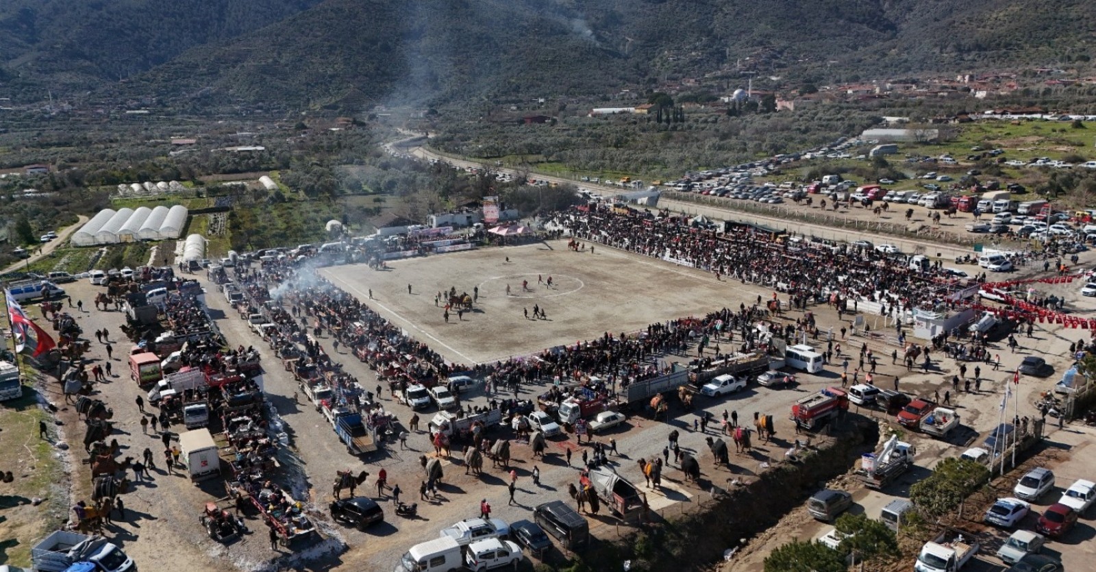 Geleneksel Deve Güreşi Festivali Coşkuyla Gerçekleştirildi